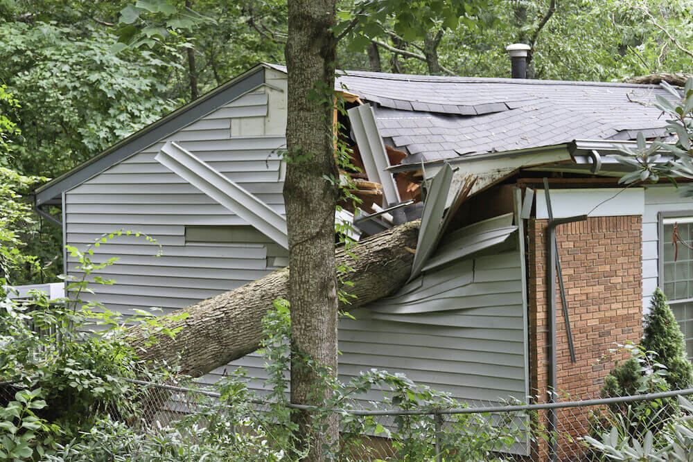 Insurance Quote for sheds, Garages and cabins