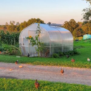 Greenhouses for sale - Wisconsin
